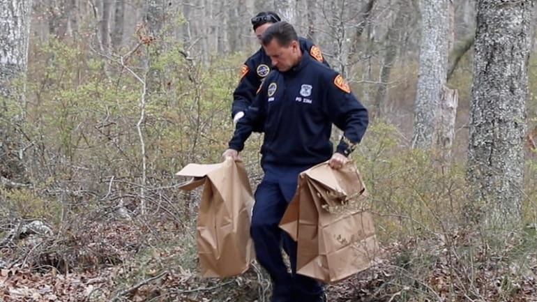 Carrying bags with evidence, Suffolk County police exit a wooded...