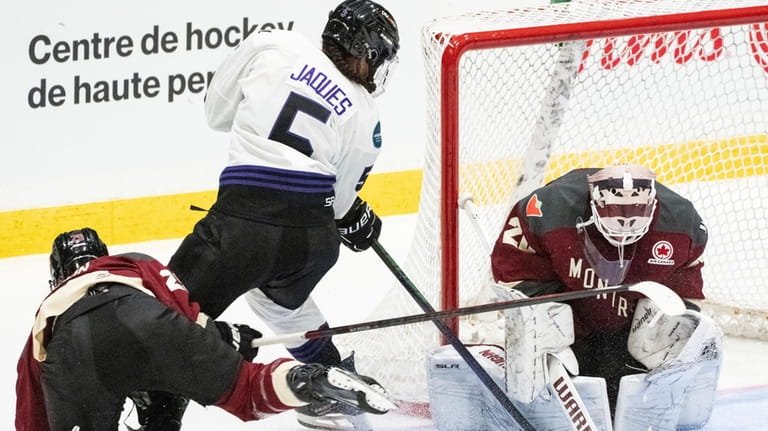 Montreal goaltender Elaine Chuli (20) makes a save against Minnesota's...