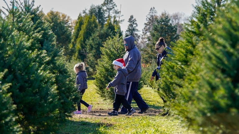 Anthony Famigiletti and his family walk through the trees at...