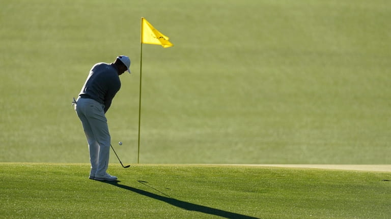 Tiger Woods chips to the green on the 15th hole...