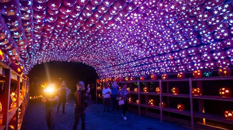 Visitors can stroll a pumpkin trail and be surrounded by...