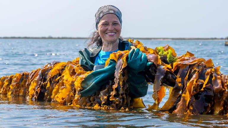 Donna Collins-Smith, of Shinnecock Kelp Farmers, holds a line of...