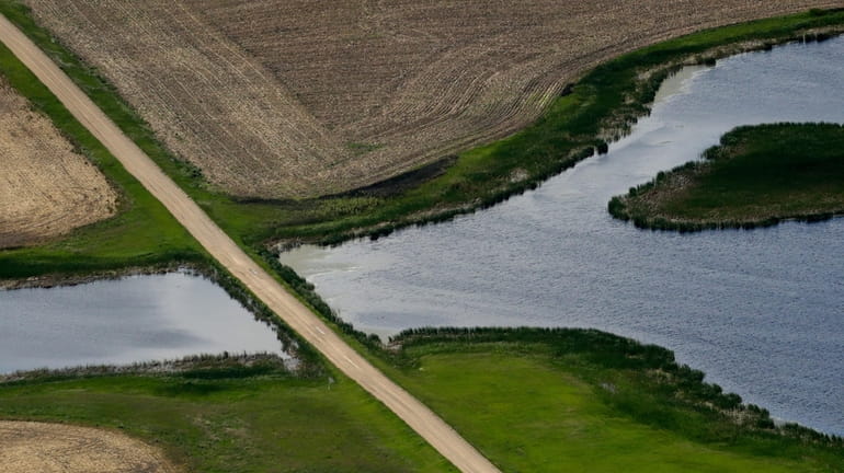 A road bisects a wetland on June 20, 2019, near...