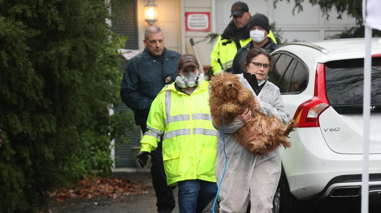 The SPCA rescuing a dog from a Motor Parkway home...