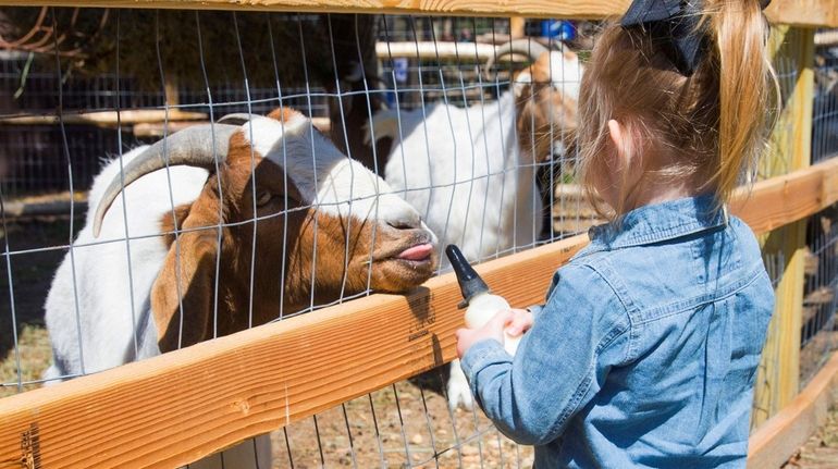 Admission to the Long Island Game Farm Wildlife Park and...