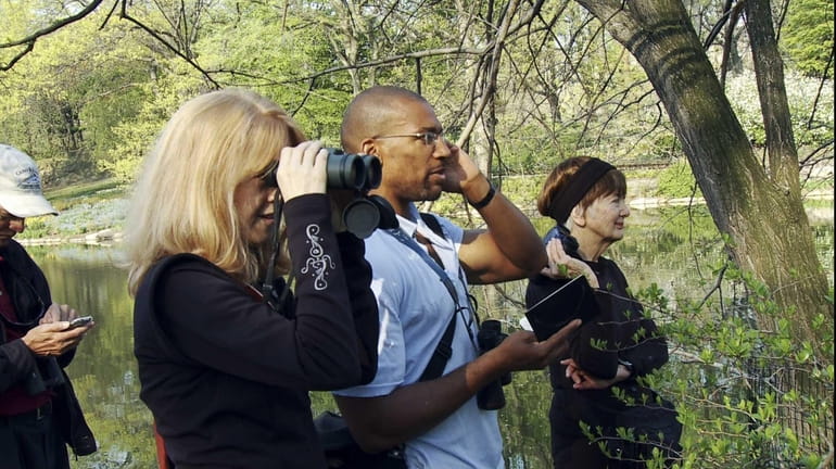 A scene from "Birders: The Central Park Effect."