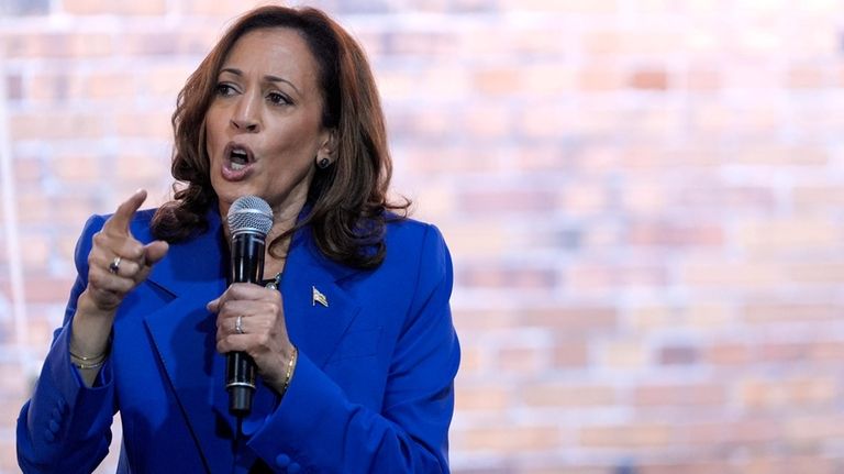 Democratic presidential nominee Vice President Kamala Harris speaks at a...