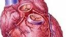 It might one day spare patients from invasive biopsies, study...