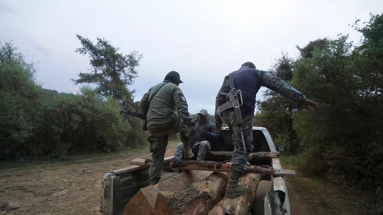 Communal police forest officers walk on seized pine logs they...