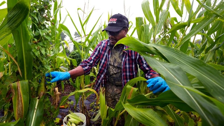 Farmer Sylvain Bukasa, a refugee from Democratic Republic of the...