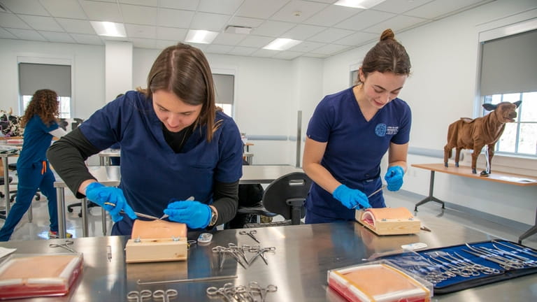 Third-year students Kelly Locke and Kara Kachek in a lab at...