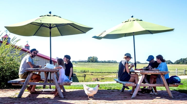 Diners at the 8 Hands Farm in Cutchogue.