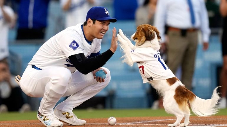 Los Angeles Dodgers' Shohei Ohtani congratulates his dog Decoy after...