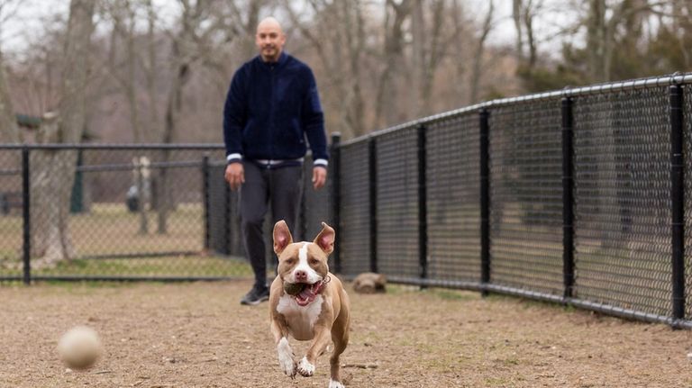 Juan Lema of Babylon plays ball with his dog, Dexter,...