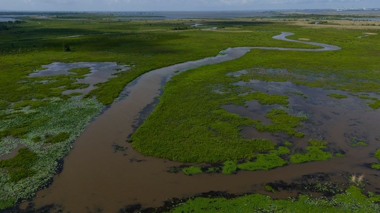 The Mobile–Tensaw Delta is visible Tuesday, June 4, 2024, near...