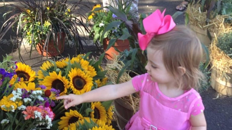 She found her #sunflowers at the Farmers Market in #Northport