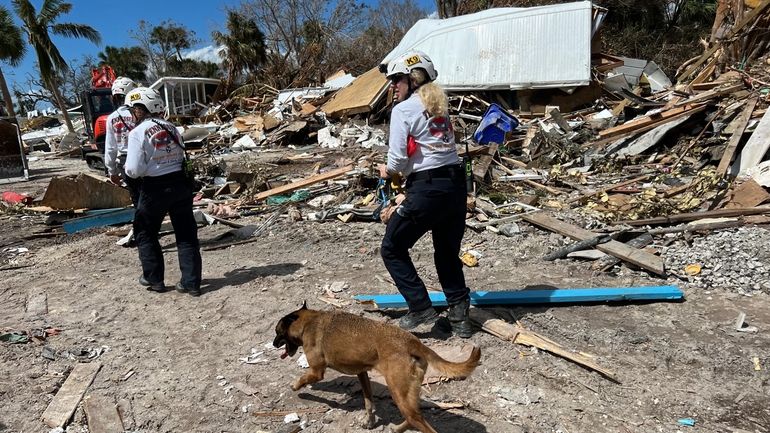 Members of a search and rescue team look for victims...