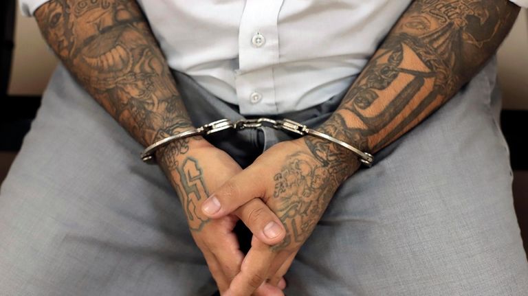 A handcuffed Mara Salvatrucha (MS-13) gang member waits for the...