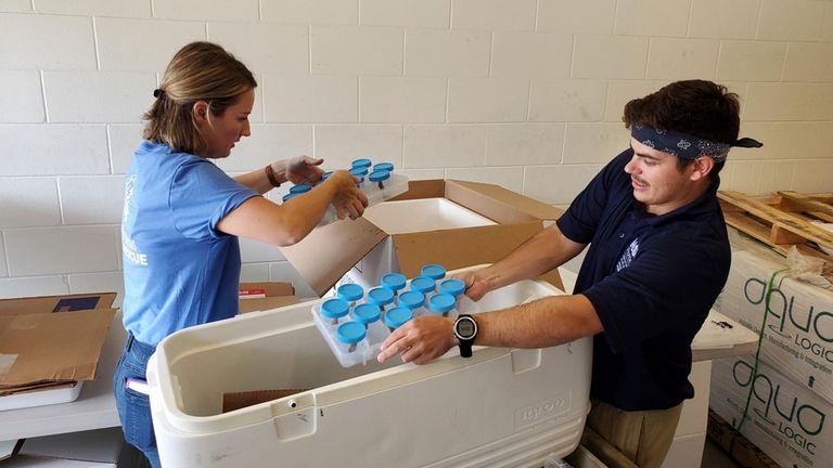 Texas A&M University-Corpus Christi researcher Keisha Bahr and Nova Southeastern...