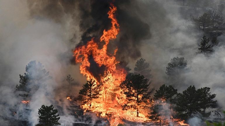 Flames consume trees as the Alexander Mountain Fire burns near...