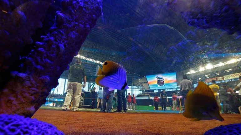 Bikinis, aquariums and baseball: The new Miami Marlins stadium - Newsday