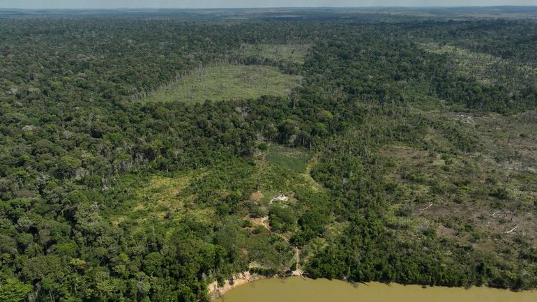 A river borders an area that has been illegally deforested...