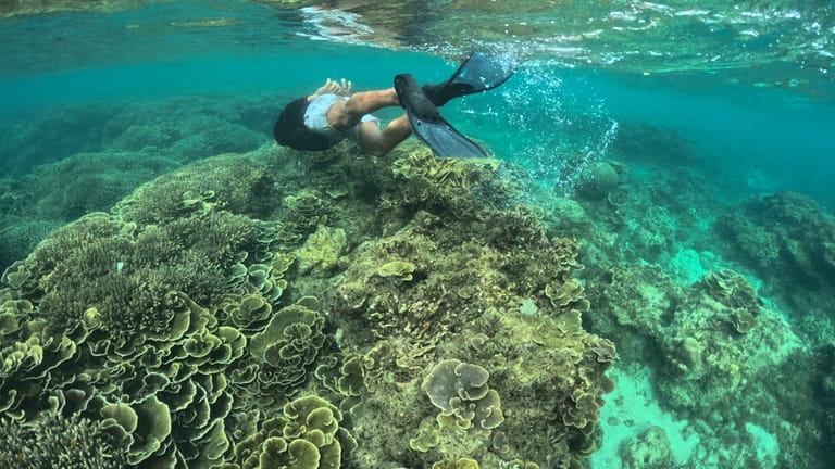 A man swims along coral reefs off Verde Island, Batangas...
