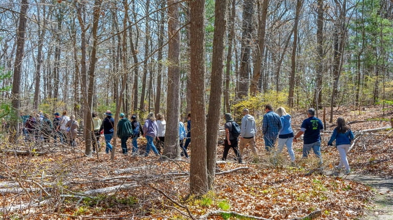A recent hike at Bayard Cutting Arboretum drew more than 60...