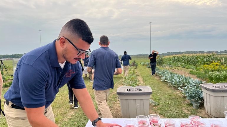 Efrain Paniagua-Villa, 28, picks up drinks to serve to guests...