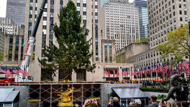 New York kicks off festive season with lighting of tree
