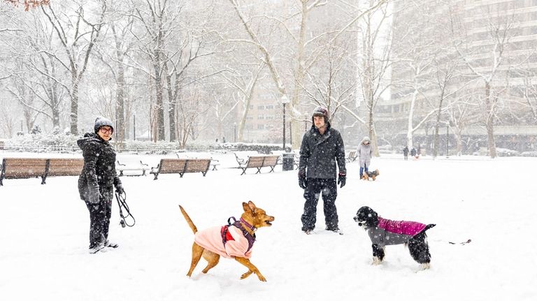 Brutally cold weather reaches deep into lower United States