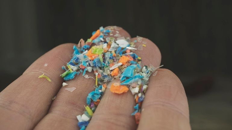 For apparently the first time, researchers discovered that microplastics have...