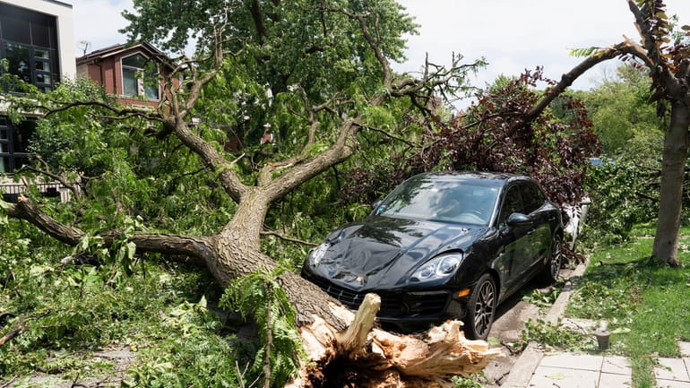 A Porsche damaged by a downed tree is seen near...