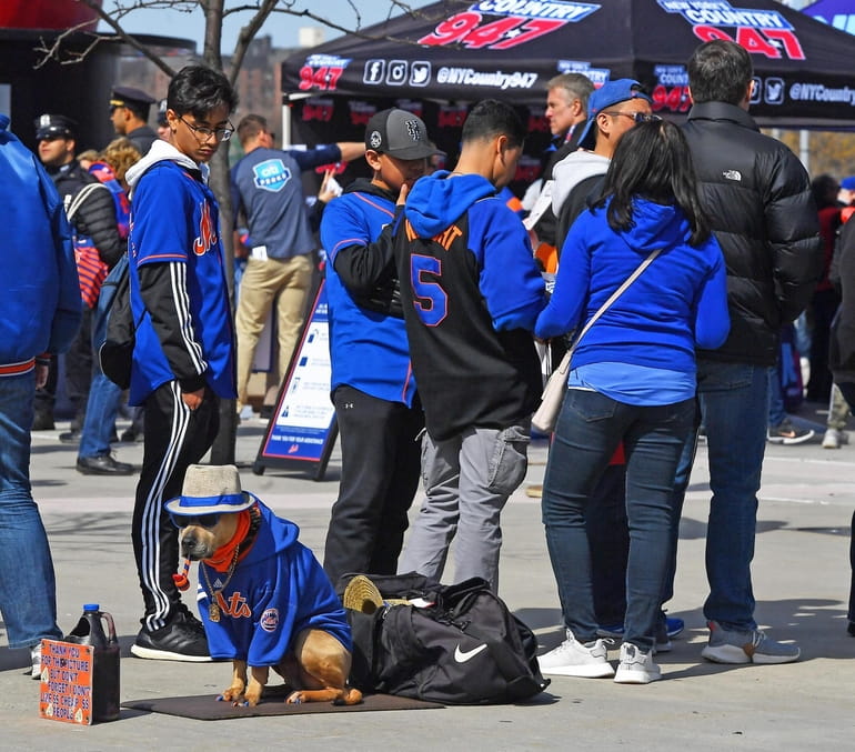 Mets fan-dogs at Citi Field on Opening Day since 2009 - Newsday