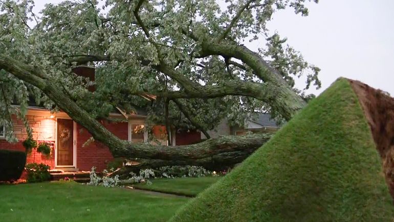 A tree, uprooted by a storm, is seen in front...