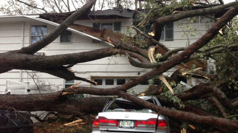This tree came down on a house and car on...