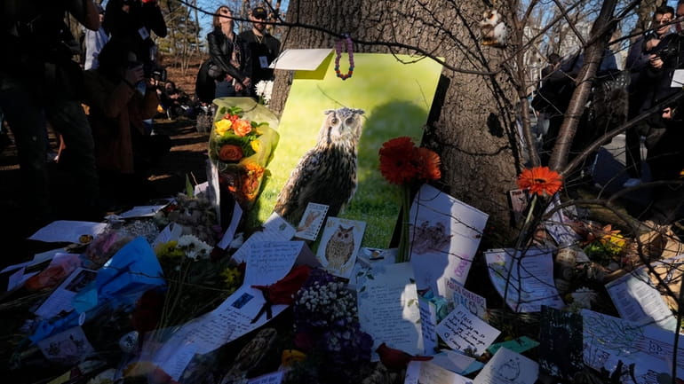 People leave photos, flowers, poems and other tributes to Flaco...