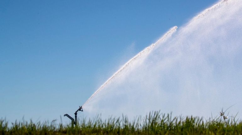 A sod farm in the Town of Southold getting irrigated...