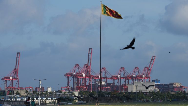 A bird flies past gantry cranes working at the Colombo...