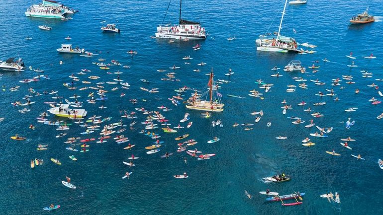 The community gathers in the waters of Hanakaoʻo Park during...