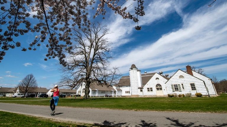 Explore Caumsett State Historic Park Preserve in Lloyd Harbor.