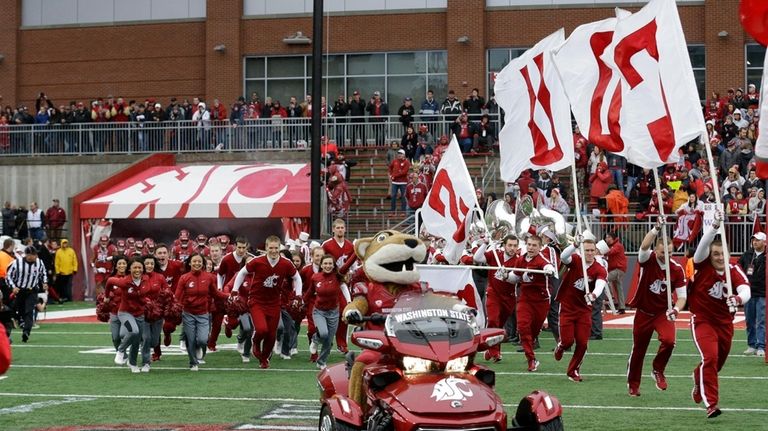 Butch, the Washington State mascot leads cheerleaders and players onto...