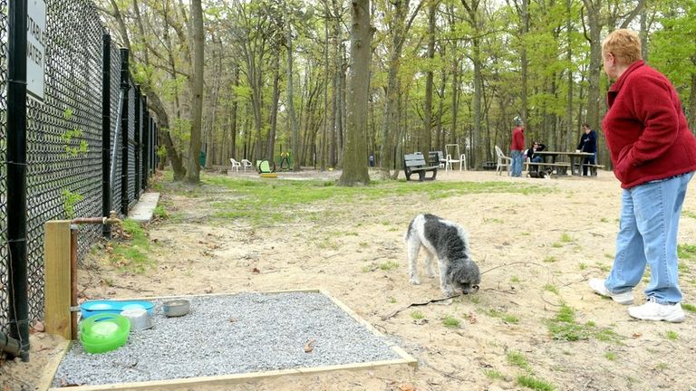 Janet Spano, with her dog Patches, in the dog park...