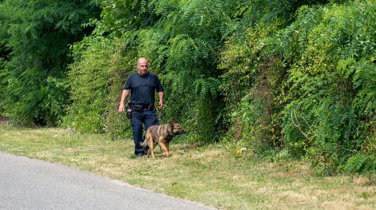 Suffolk County police officer with a K-9 conducts search a few...