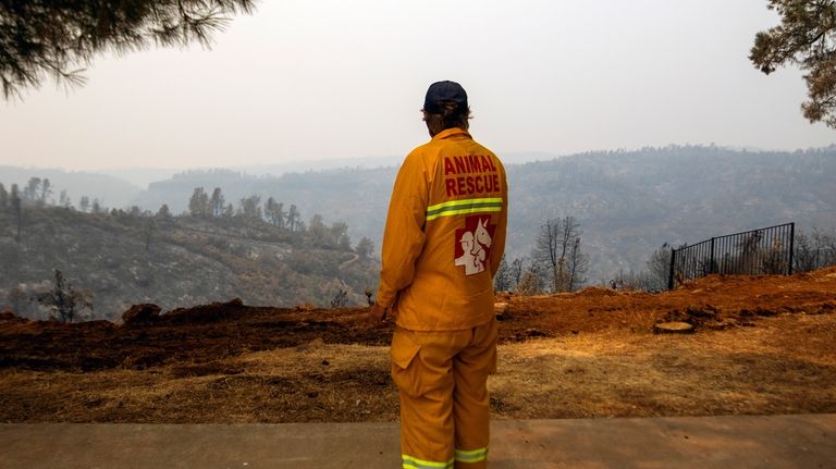 Norm Rosen, from Butte County Calif., looks out on a...