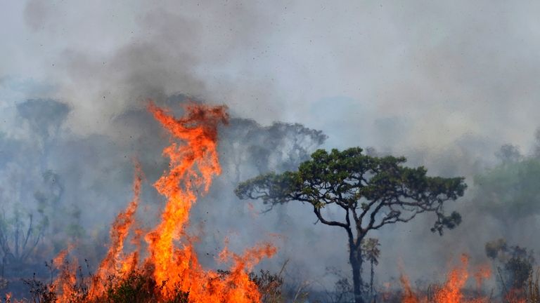 Fire spreads in the environmentally protected area of Brasilia National...