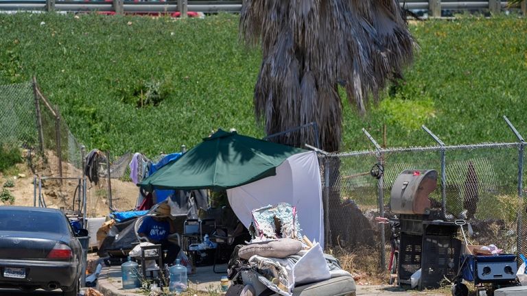 A homeless encampment sits next to the CA-110 freeway on...