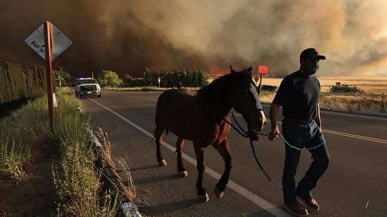 A resident of of Vernalis Road evacuates his horse as...