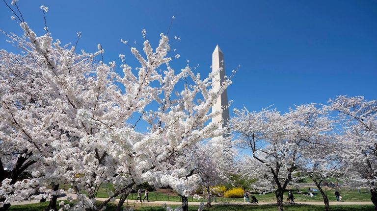 With the Washington Monument in the background, visitors walk by...