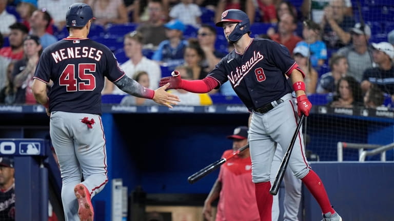 Nationals score go-ahead run in 9th on passed ball, rally to beat Marlins  3-2 - The San Diego Union-Tribune